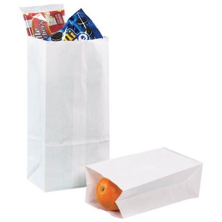 Bsc Preferred 5 x 3 1/4 x 9 3/4'' White Grocery Bags, 500PK BUY00026176